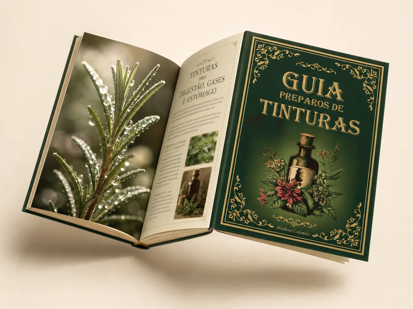 Amostra do Guia de Tinturas 4