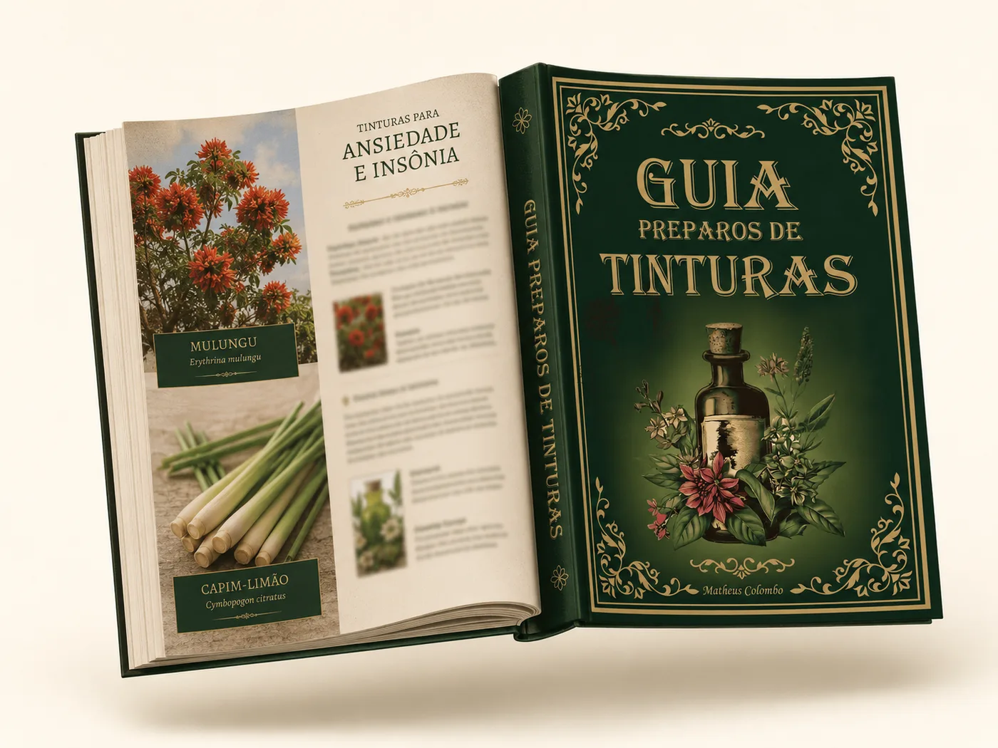 Amostra do Guia de Tinturas 3