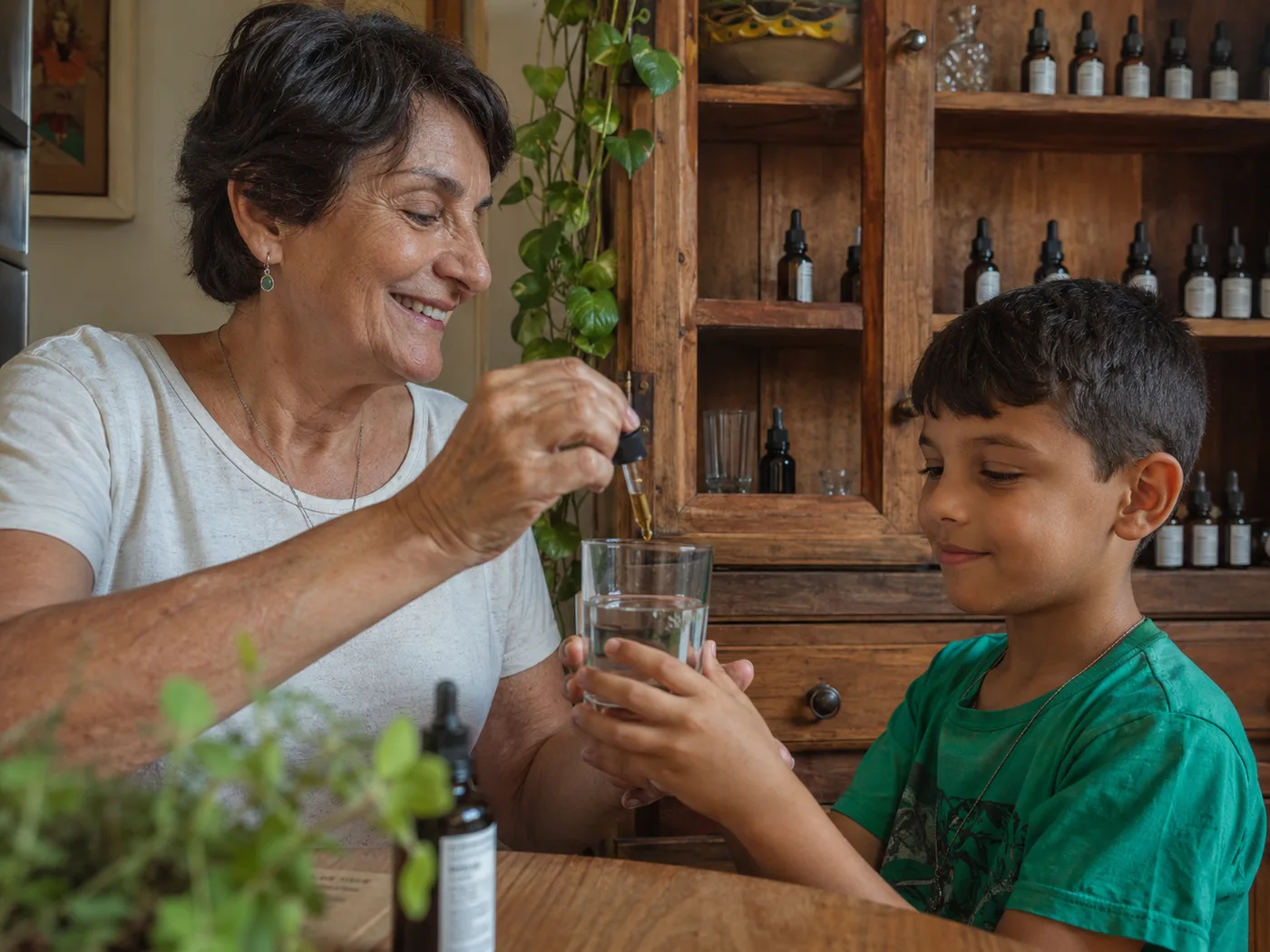 A farmacinha natural completa — e a família percebe.