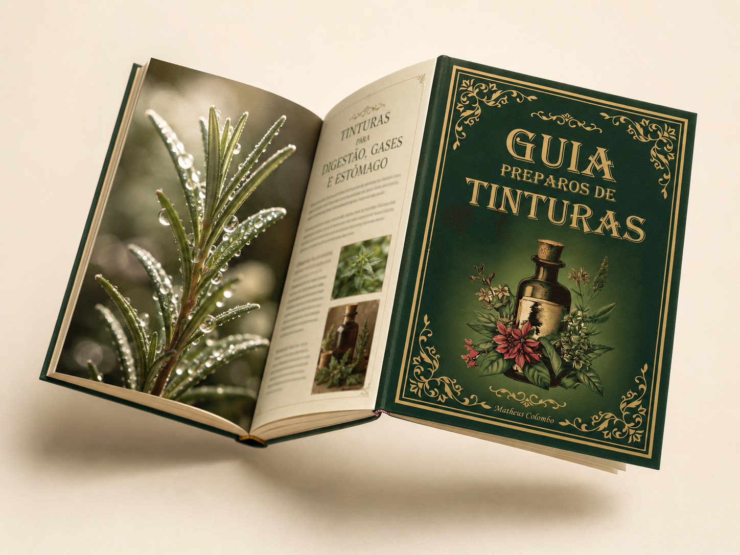 Amostra do Guia de Tinturas 4